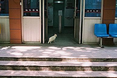 开发者被《银河战士》名单除名 厂商：贡献不显著