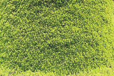 Steam在线玩家数破纪录 超3600+万人在线